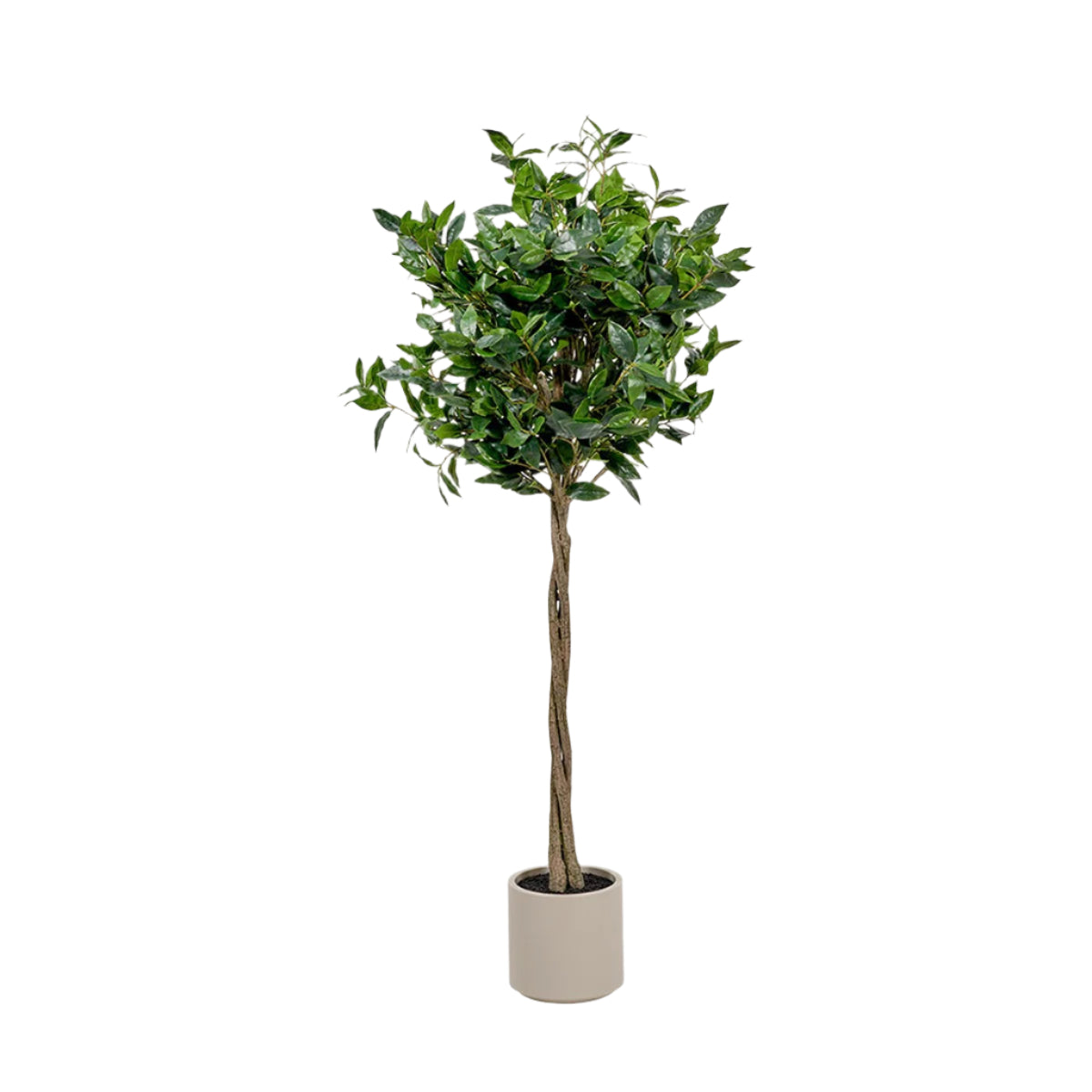 Faux Bay Tree in Pot - Medium — image 1