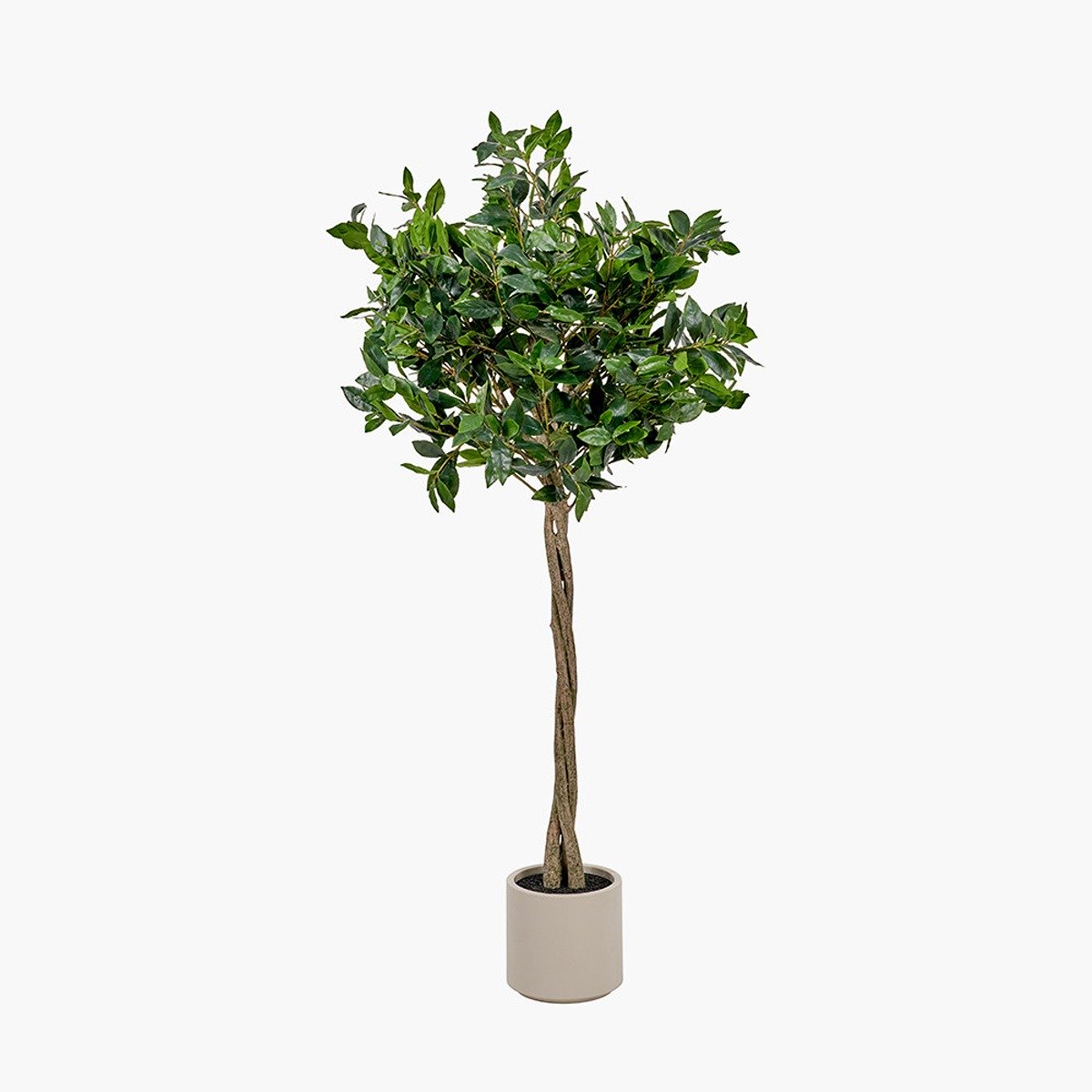 Faux Bay Tree in Pot - Medium — image 3
