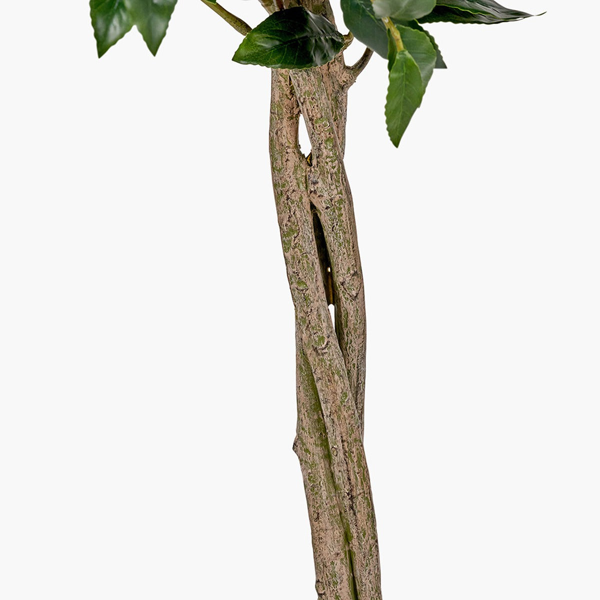 Faux Bay Tree in Pot - Medium — image 5