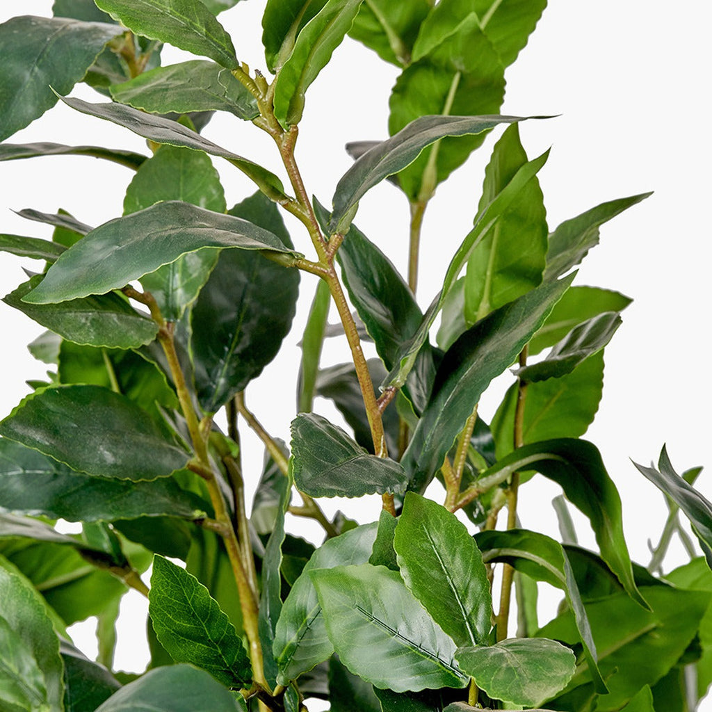 Faux Bay Tree in Pot - Medium — image 6