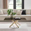 Leonardo Rectangle Brown/Grey Marble Glass & Gold Coffee Table — image 1