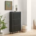Penrose 3 Door Black Wood Shoe Storage Cabinet — image 1